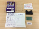 DG4864 HUNTER x HUNTER BOXED Wonder Swan Bandai Japan