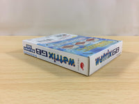 ua9654 Wetrix BOXED GameBoy Game Boy Japan