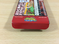 UB2228 One Piece Dragon Dream BOXED GameBoy Advance Japan