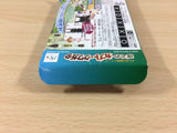 ub1963 Bokuno Kabuto Kuwagata BOXED GameBoy Advance Japan