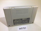 Yu Yu Hakusho 2 SNES Super Famicom Japan - SB5757