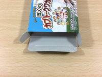 ub1963 Bokuno Kabuto Kuwagata BOXED GameBoy Advance Japan