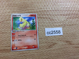 CC2558 Combusken Fire Rare ADVex1 017/080 Pokemon Card TCG Japan