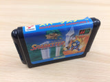DG6980 Sparkster Rocket Knight Adventures 2 BOXED Mega Drive Genesis Japan