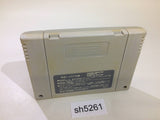 Populous SNES Super Famicom Japan - SH5261