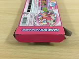 UD8860 Mr. Driller A Fushigina Pacteria BOXED GameBoy Advance Japan