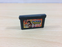 UB2228 One Piece Dragon Dream BOXED GameBoy Advance Japan