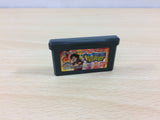 UB2228 One Piece Dragon Dream BOXED GameBoy Advance Japan