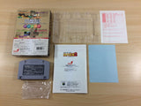 64 Ozumo 2 Sumo BOXED N64 Nintendo 64 Japan - UD8300