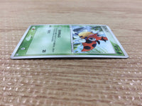 CB4107 Ledyba Grass C PCG3 005/084 Pokemon Card TCG Japan