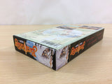 Bastard!! Ankoku no Hakaishin BOXED SNES Super Famicom Japan - UC7885