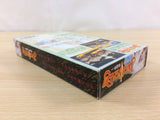 Bastard!! Ankoku no Hakaishin BOXED SNES Super Famicom Japan - UC7885