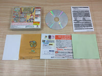 FF7429 Guruguru Onsen 2 Dreamcast Japan