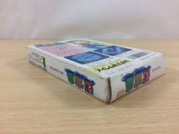 UC5703 Kickle Cubicle Meikyu Jima BOXED NES Famicom Japan