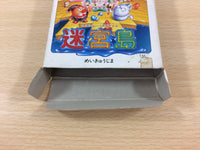 UC5703 Kickle Cubicle Meikyu Jima BOXED NES Famicom Japan