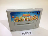 Stone Protectors SNES Super Famicom Japan - SG9075