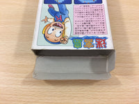 UC5703 Kickle Cubicle Meikyu Jima BOXED NES Famicom Japan