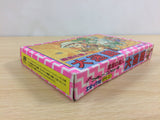 Meikyuu no Tatsujin Daimeiro BOXED NES Famicom Japan - UB8285
