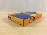 ua9781 Spy vs. Spy BOXED NES Famicom Japan