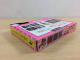 Meikyuu no Tatsujin Daimeiro BOXED NES Famicom Japan - UB8285
