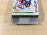 LodossTouSenkiEiyuuKishiden Record of Lodoss War BOXED Game Boy Japan - UA9126