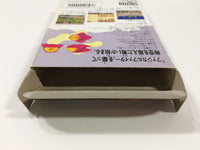 WA1954 Fuzzical Fighter BOXED NES Famicom Japan