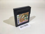 BT1800 Elie no Atelier GB GameBoy Game Boy Japan