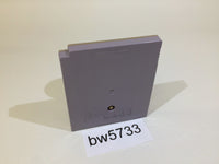 BW5733 Shuyaku Sentai Irem Fighter Mr. Heli Hammerin' Harry GameBoy Japan