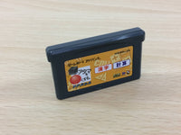 UC5080 Shikakui Atama Wo Masrukusuru Kanji Keisan BOXED GameBoy Advance Japan