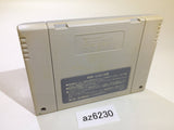 Chibi Marukochan Harikiri 365 Nichi no Maki SNES Super Famicom Japan - AZ6230