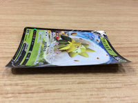 CA2383 EldegossV Grass RR S4a 016/190 Pokemon Card TCG Japan