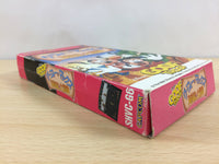 ub7803 Goofy to Max Kaizoku Shima no Daibouken BOXED SNES Super Famicom Japan