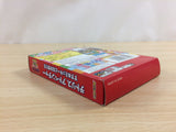 Magical Tetris Challenge Adventure Mickey BOXED GameBoy Game Boy Japan - UD6702