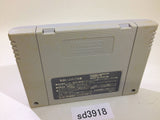 Yu Yu Hakusho 2 SNES Super Famicom Japan - SD3918