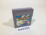 BW9305 Tsuri Sensei Fishing GameBoy Game Boy Japan