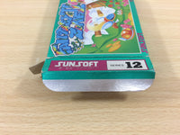 ud7049 Fantasy Zone II 2 Opa Opa no Namida BOXED NES Famicom Japan