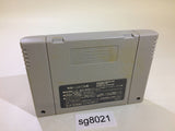 Yu Yu Hakusho 2 SNES Super Famicom Japan - SG8021