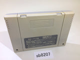 Dai Bakushou Jinsei Gekijou SNES Super Famicom Japan - SB8207