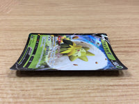 CA2386 EldegossV Grass RR S4a 016/190 Pokemon Card TCG Japan
