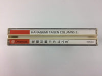 g8955 Hanagumi Taisen Columns 2 Dreamcast Japan