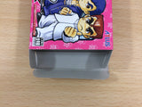 ub6978 River City Ransom EX Nekketsu Kunio Kun BOXED GameBoy Advance Japan