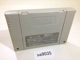 Rokudenashi Blues Taiketsu! Tokyo Shitennou SNES Super Famicom Japan - SA9035