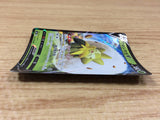 CA2388 EldegossV Grass RR S4a 016/190 Pokemon Card TCG Japan
