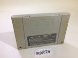 Super Puyo Puyo SNES Super Famicom Japan - SG8029