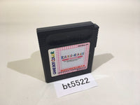 BT5522 Raku x Raku Mishin GameBoy Game Boy Japan