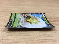 CA2389 EldegossV Grass RR S4a 016/190 Pokemon Card TCG Japan