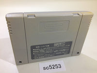 SC5253 Gambler Jiko Chuushinha Mahjong Kouisen SNES Super Famicom Japan
