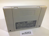 SC5253 Gambler Jiko Chuushinha Mahjong Kouisen SNES Super Famicom Japan