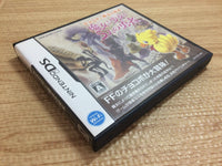 FG2378 Final Fantasy Fables Chocobo Tales BOXED Nintendo DS Japan