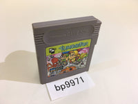 bp9971 Tumble Pop GameBoy Game Boy Japan